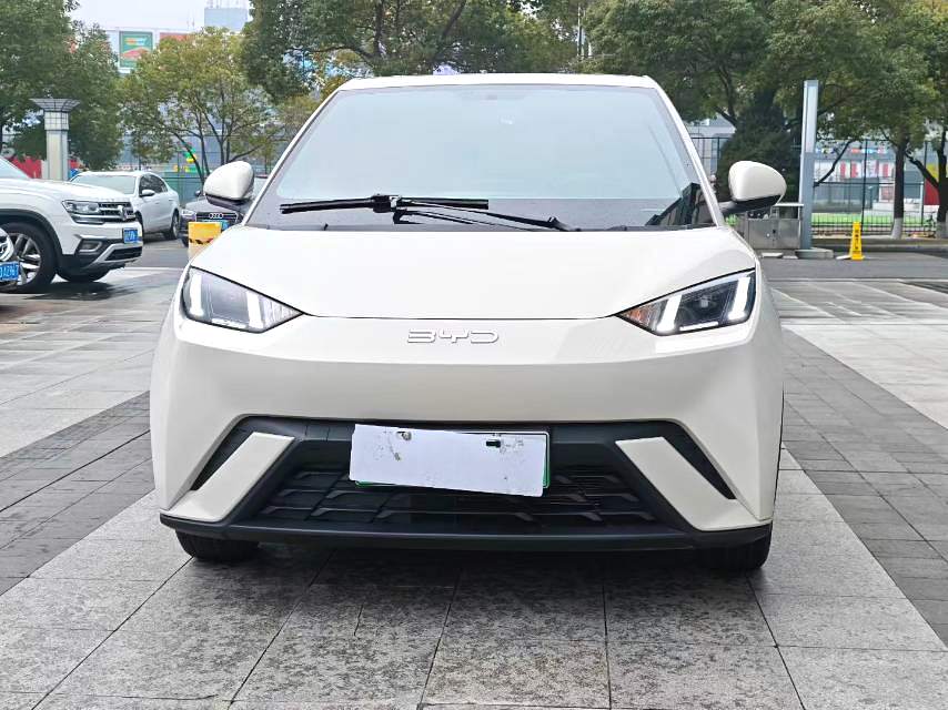 比亚迪 2023款 海鸥 自由版 自动挡