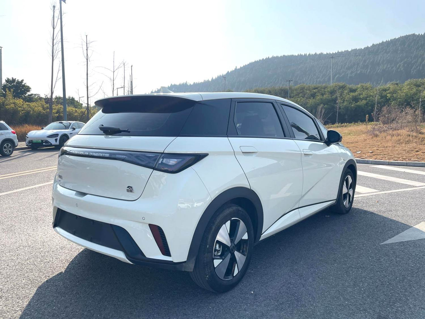 比亚迪 2023款 海豚 420km 时尚版 自动挡