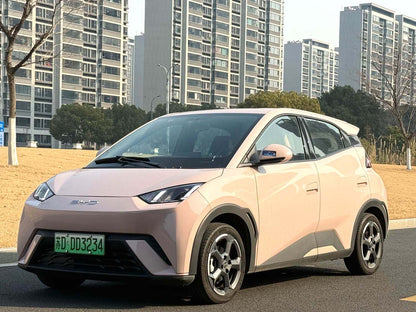 BYD 2023 Seagull Freedom Edition Automatic