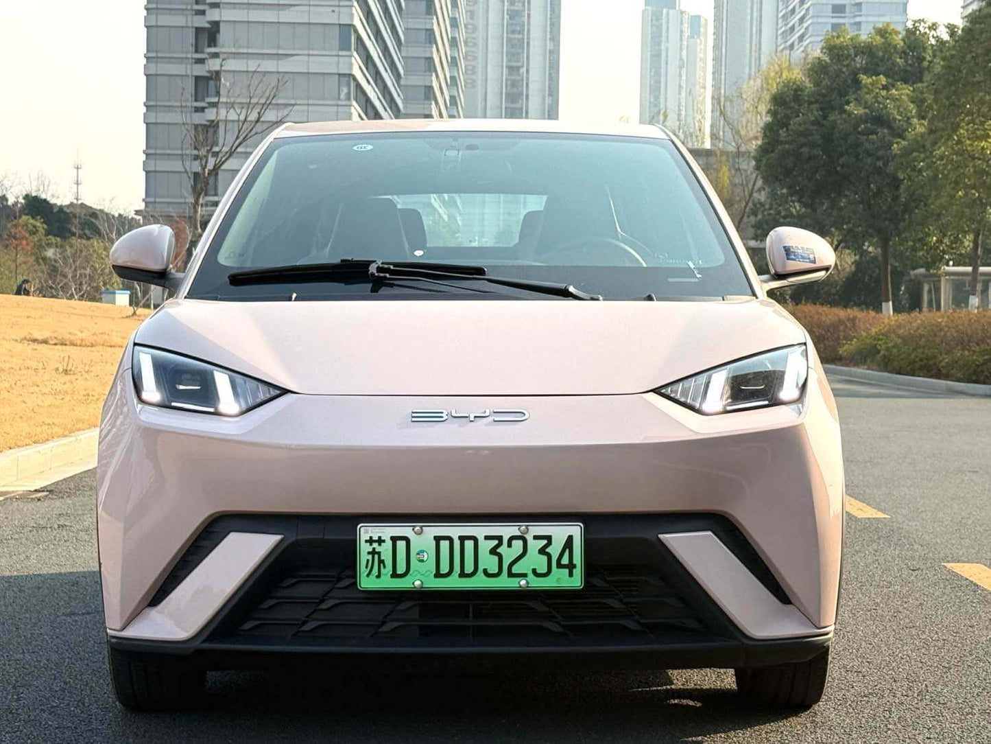 BYD 2023 Seagull Freedom Edition Automatic