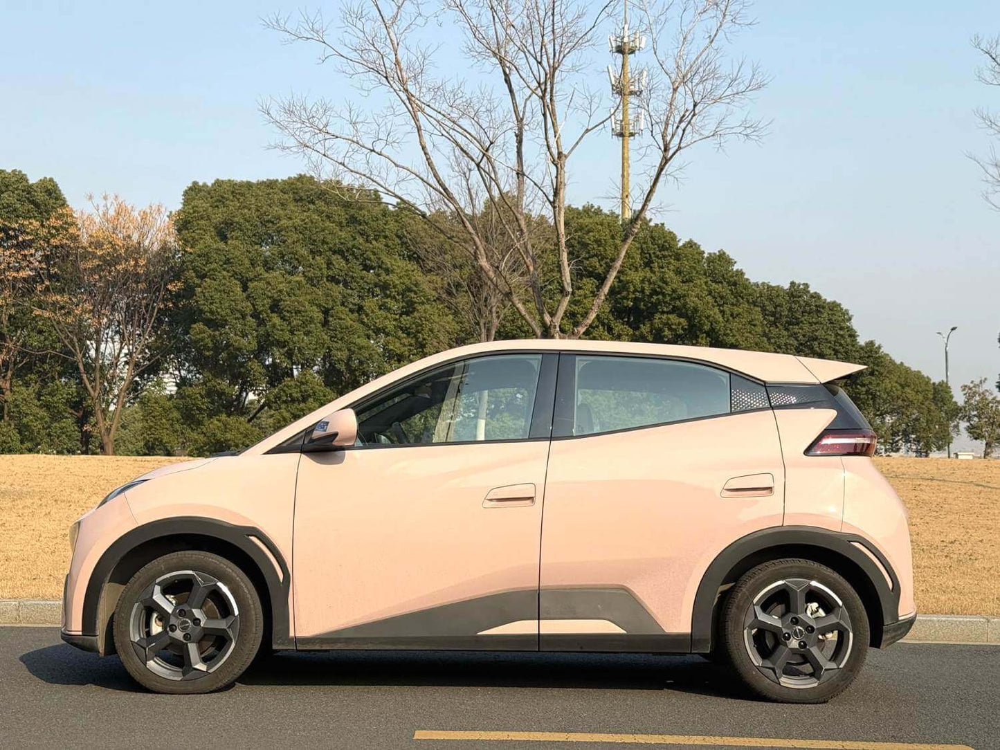 BYD 2023 Seagull Freedom Edition Automatic