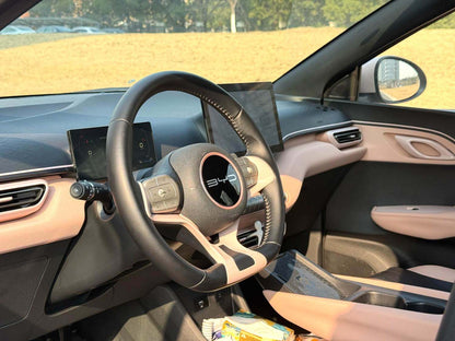 BYD 2023 Seagull Freedom Edition Automatic